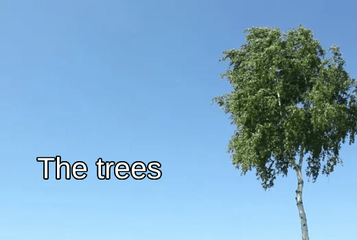 The trees